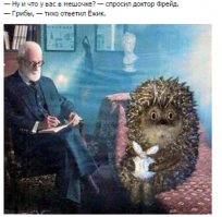 Лошааадкааааа!