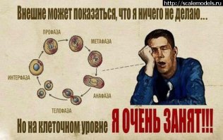 Вся правда о лени 