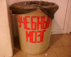 Фотоподборка за 06.04.2016