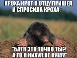 Подборка прикольных фото