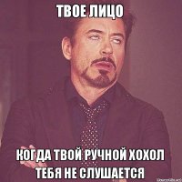Точно, ты говнохохол, ни одной мысли, сплошное говнометание.