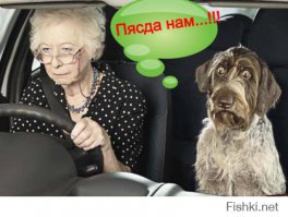 Новая машинка