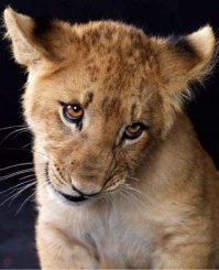 Подборка ужасно красивых фотографий