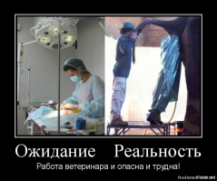 «Ожидания реальность»