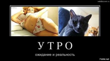 «Ожидания реальность»