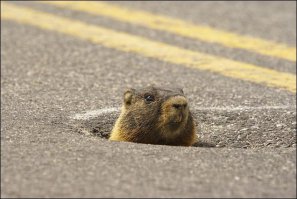 О смотри хруст