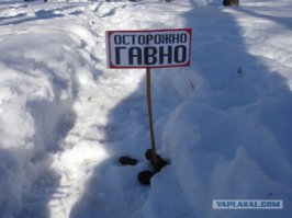 15 фотографий, которые Бейонсе хотела бы скрыть от поклонников