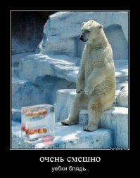 это - ПЯТЬ!!!