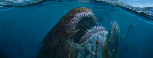 Загадочные объекты, которые преследуют в океане российские и американские подлодки