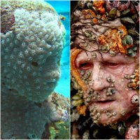 Подборка ужасно красивых фотографий