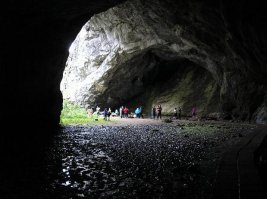 Фотоподборка за 07.04.2016