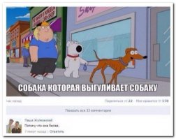 Он прямо сейчас дико возмущается этим, а всего через несколько секунд снимет с него ошейник, и скажет что-то типа "Теперь ты свободен, братан".