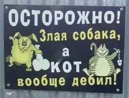 Самые жестокие нападения зверей на человека