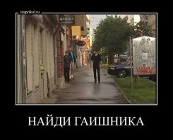 Настоящие мастера маскировки (10 фото)