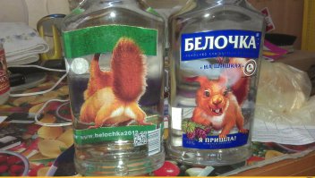 Самые жестокие нападения зверей на человека