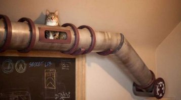 Котифизация дома 