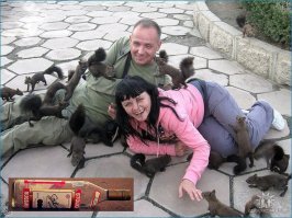 Самые жестокие нападения зверей на человека