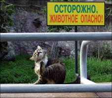 Московский зоопарк