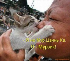 А вот это и правда, жестоко