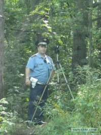 Вот настоящие мастера маскировки!