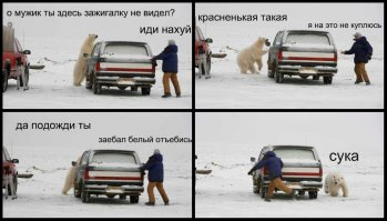 Самые жестокие нападения зверей на человека