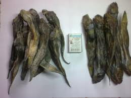 Парни...харэ)))))) СЕГОДНЯ ВЕЧЕРОМ ЕДУ ЗА ДРУГИМ КРЫМСКИМ ДЕЛИКАТЕСОМ. Бычком Азовским.