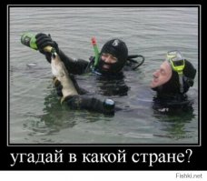 Фотоподборка за 08.04.2016