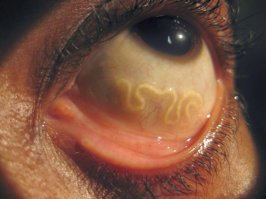 ППЦ!!!  Поели свеженького карпа