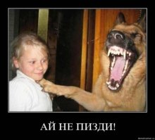 Байка гуляет по сети много лет. И нигде нет ссылки на хоть какой-нить серьёзный источник. В лучшем случае, на какой-нить сайт а-ля "я плакалЪ". Кстати, а тут автор даже такую ссылку поленился дать.