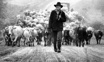 Они нашли, как заработать в кризис 