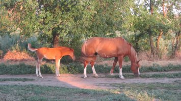 обычный вид из моего окна - завидуйте городские