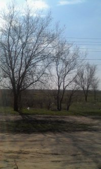 Первый парень на деревне: лучшие претенденты на титул!