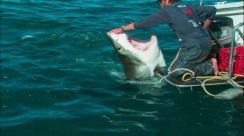 Фотоподборка за 08.04.2016