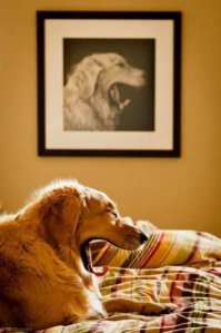 Фотоподборка за 08.04.2016