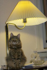 Простите, но ... не верю.
Пришло время сказочных историй ;)