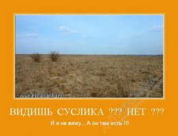 Настоящие мастера маскировки (10 фото)