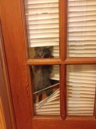 кто нибудь вызовите полицию!