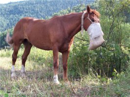 Фотоподборка за 08.04.2016