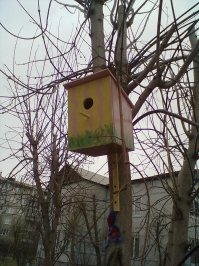 Королевская однушка: это не хохма, она действительно существует! 