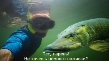 Фотоподборка за 08.04.2016