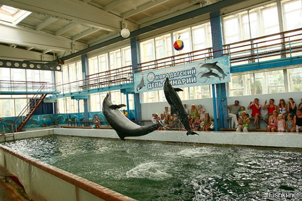 На Кара-Даге тоже была "биостанция", где занимались обучением дельфинов и морских львов. Вот она



Кроме представлений для публики, там и военные чем-то занимались.