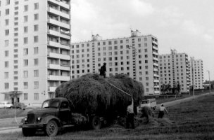 Автор! Зачем же так лицемерить!!! Вот это ты называешь:"отгламуреная постановка ( 95 % Московских фоток тех лет)"???