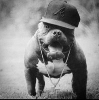 25 моментов, когда животные-родители повели себя совсем как люди