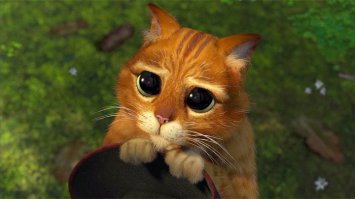 Как то так..?:)