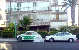 А у нас только на одной улице их парочка есть. По городу не знаю. Красивые жучки))