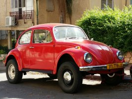 А у нас только на одной улице их парочка есть. По городу не знаю. Красивые жучки))