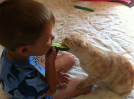 21 очаровательная фотография малышей в компании котов