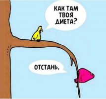 О женщинах на диете