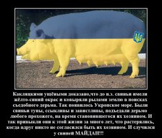 Донецк сегодня 08.04.2016