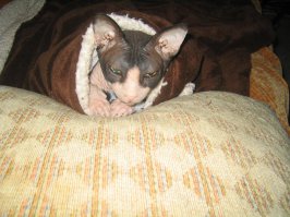 А это мое чудо